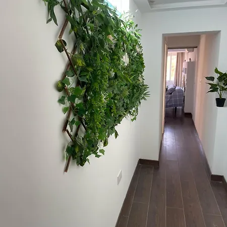 Apartamento La Reina 49